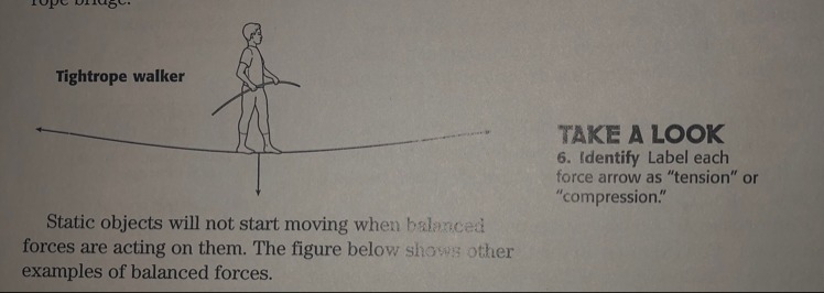 Label each force arrow as “tension” or “compression”-example-1