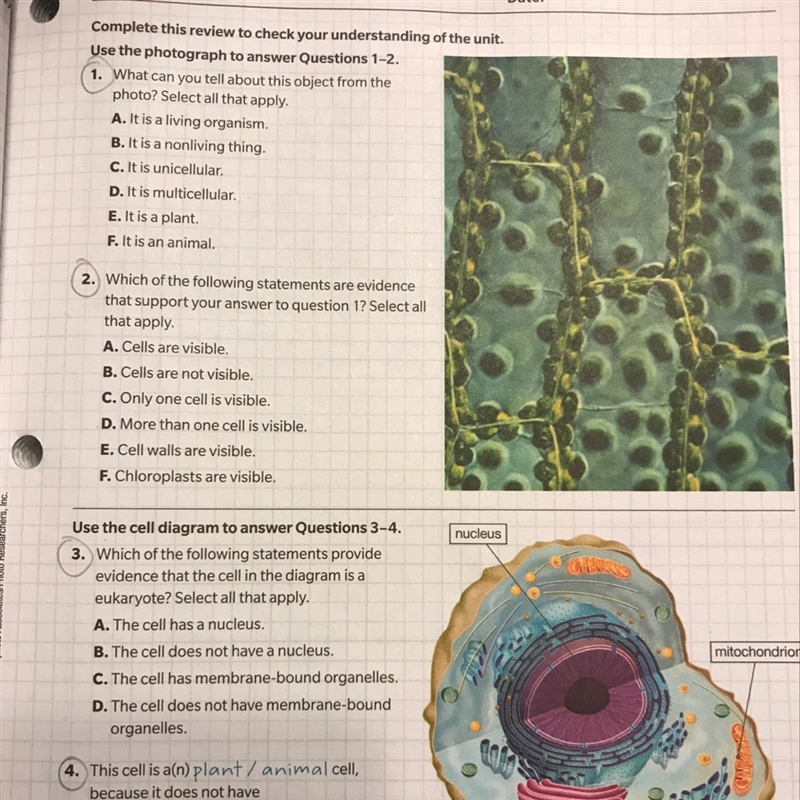 I just need to know question # 1-example-1