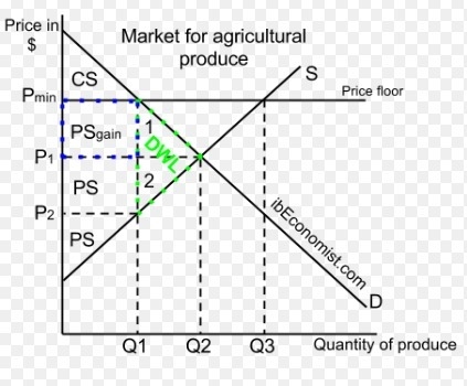 Create a graph illustrating the effect of a price floor on the quantity of a good-example-1