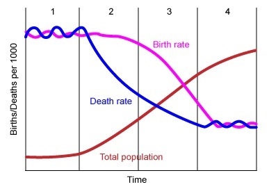 In bolivia, there is cultural and religious disapproval of contraception, so birth-example-1