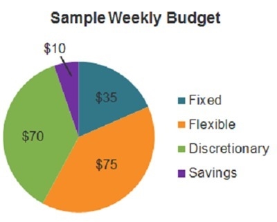 N this budget, how much money is going toward optional expenses? $70 $75 $10 $35-example-1