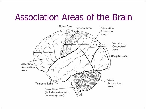 After he suffered a stroke, mr. santore's physical coordiantion skills and responsivelnes-example-1