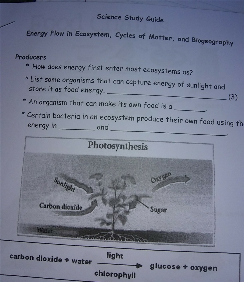 How does energy first enter most ecosystem as-example-1