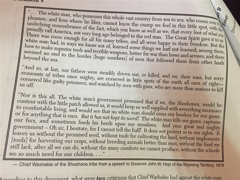 What were TWO criticisms that Chief Washakie had against the white man and/or the-example-1