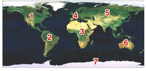 Which continent is indicated by number 2? Question 4 options: A.Asia B.Africa C.Antarctica-example-1