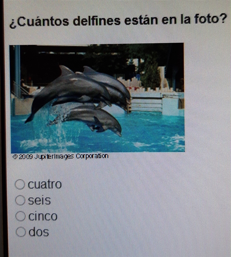 Cuántos delfines están en la foto?-example-1