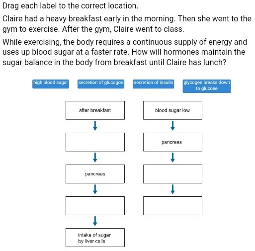 Drag each label to the correct location. Claire had a heavy breakfast early in the-example-1