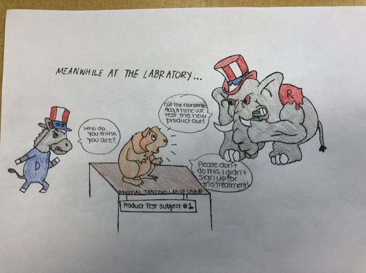 Analyze this political cartoon-example-1