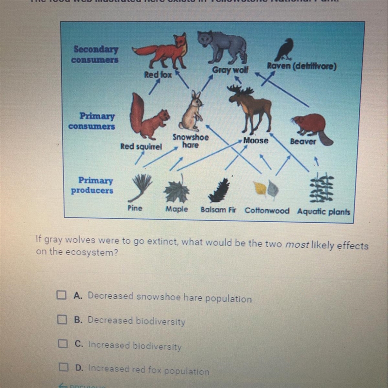 Please help ASAP PLEASE-example-1