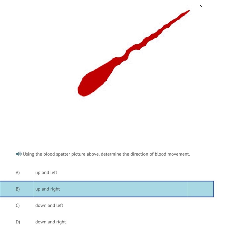 Is my answer correct-example-1