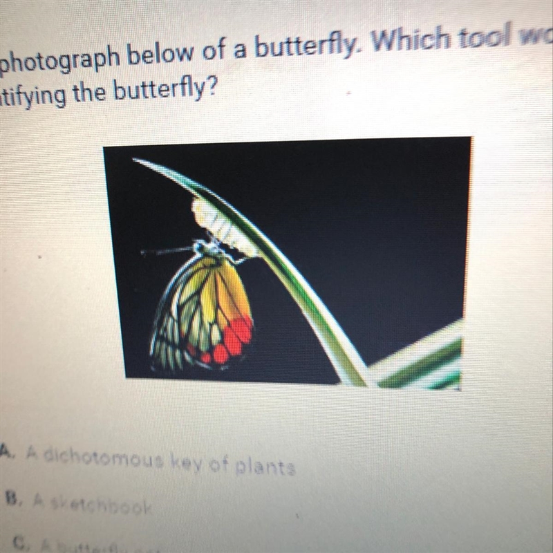 Cara took the photograph below of a butterfly. Which tool would be most helpful in-example-1