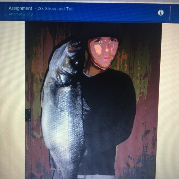 Where is the photoshop flaw in this picture? A. The fish is too large, B. The head-example-1