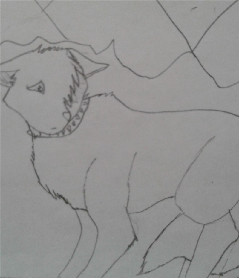 What do you think of my drawing it's part of a wolf series I'm making NO HATE COMMENTS-example-1