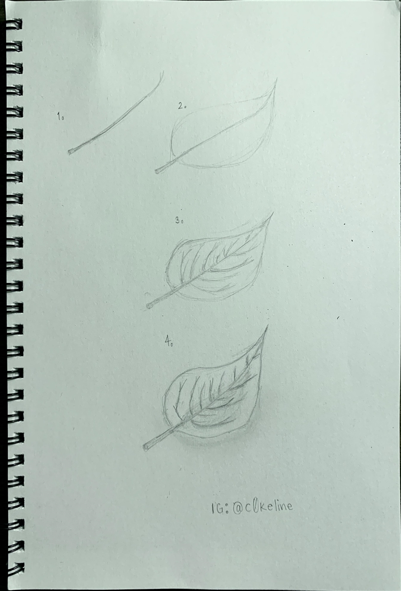 How to draw leaves, make a picture/drawing-example-1