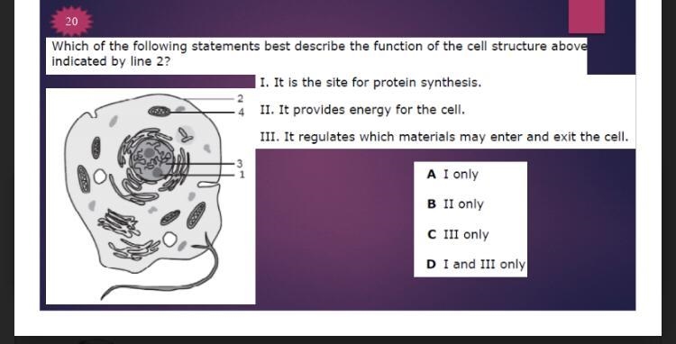 Function of cell structure Description-example-1