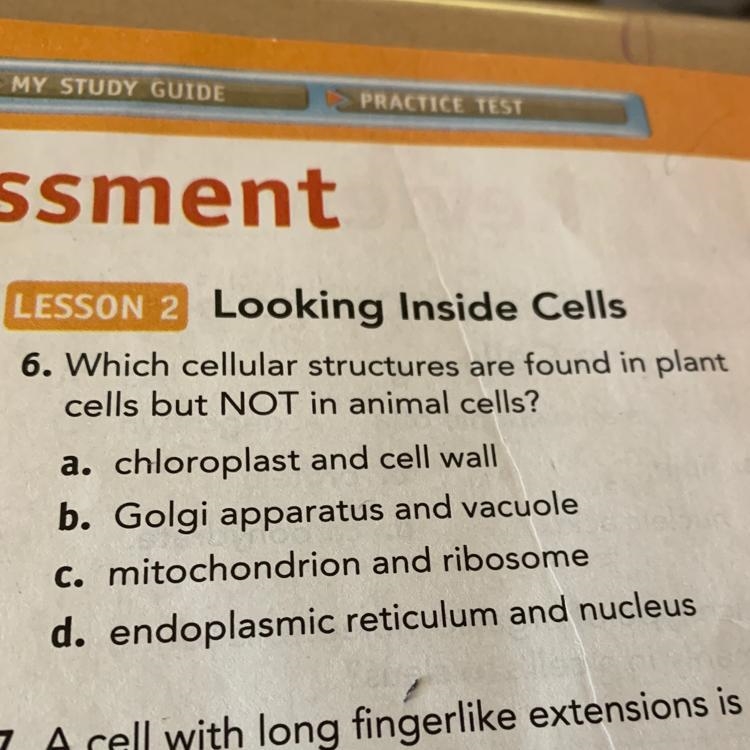 I need to know number 6 too-example-1