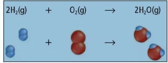 20 POINTS PLEASE HELP Use the picture to answer the following questions Question: 1. Does-example-1