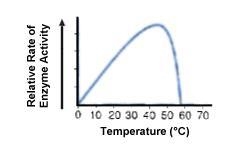 According to the graph, which of these statements is true? a. This enzyme works best-example-1