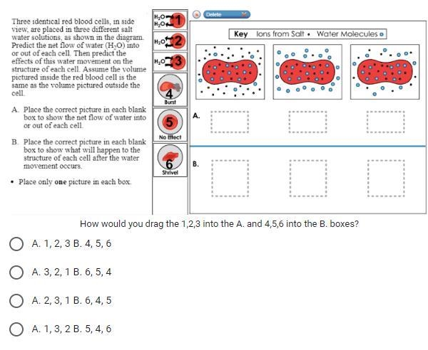 Please help and explain how you know so I can try to understand please!-example-1