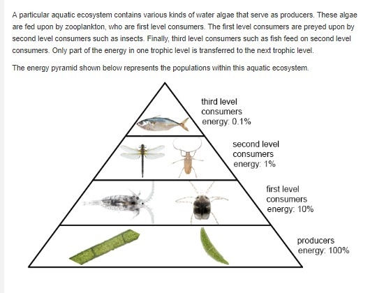 Which explanation best fits with the data shown? A. The efficiency with which chemical-example-1