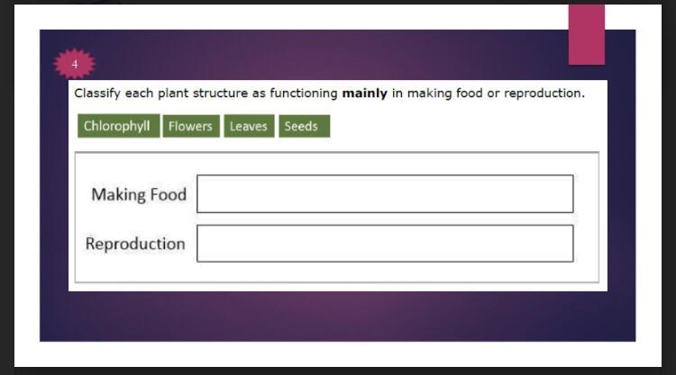 Function of each plant structure-example-1