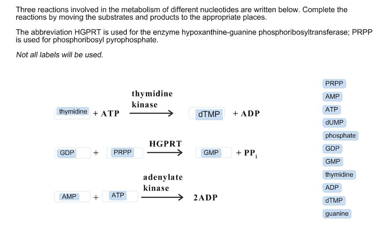 Three reactions involved in the metabolism of different nucleotides are written below-example-1