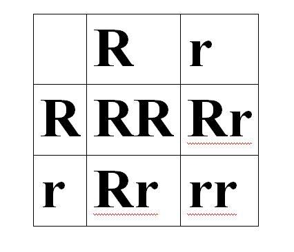 Since each child of two heterozygous parents has a 50% chance of receiving a recessive-example-1