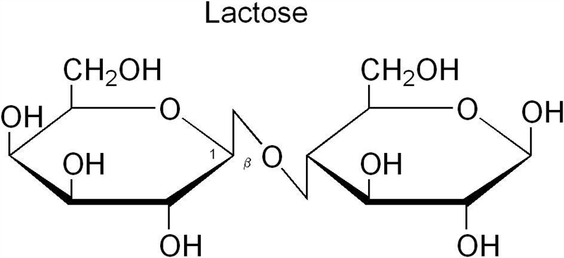 Draw Maltose, Cellobiose, Lactose and Sucrose.-example-3