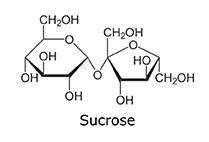 Draw Maltose, Cellobiose, Lactose and Sucrose.-example-2