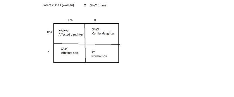 Consider a cross between a man with an X-linked recessive disorder and a woman that-example-1