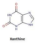 Birds, reptiles, and insects dispose of excess nitrogen atoms by excreting uric acid-example-1