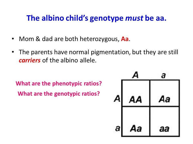 Two normally pigmented parents have an albino child. What are the parents' genotypes-example-1