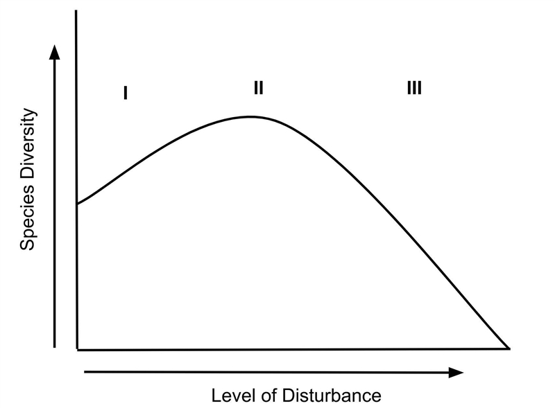 Describe the intermediate disturbance hypothesis. Explain why moderate levels of disturbance-example-1