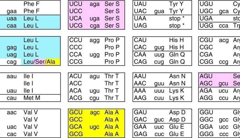 Discuss evidence that the genetic code is almost universal, and cite some exceptions-example-1