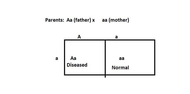 A couple is planning to have children. The father is affected by an autosomal dominant-example-1