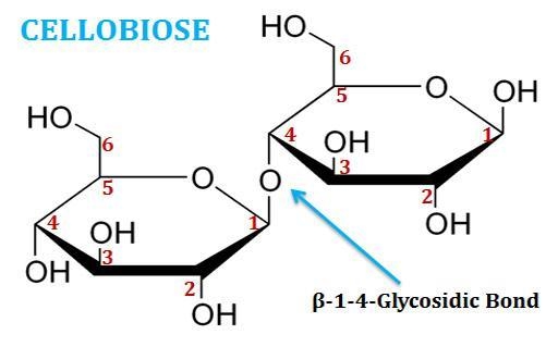 Draw Maltose, Cellobiose, Lactose and Sucrose.-example-4