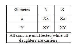 Men have XY​ (or YX) chromosomes and women have XX chromosomes.​ X-linked recessive-example-1