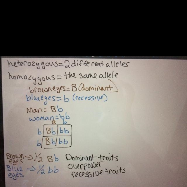 If a heterozygous brown-eyed man and a homozygous blue-eyed woman have children, what-example-1