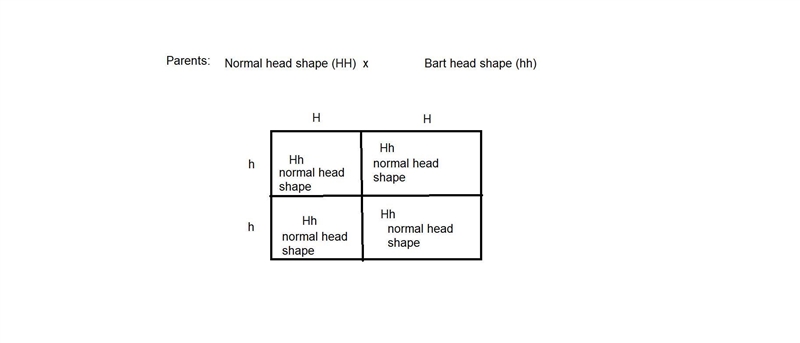 In MendAliens, normal head top is dominant to Bart head top, in which the top of the-example-1