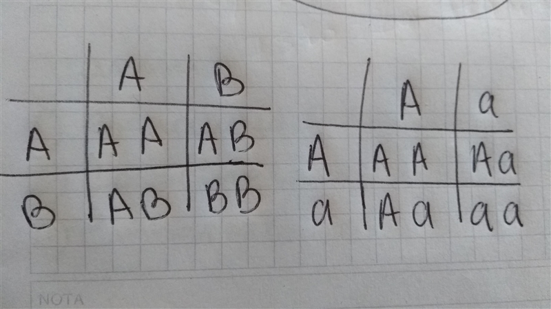 A= pigment a = albino Presence of pigment is completely dominant over absence of pigment-example-1