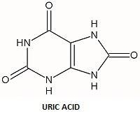 Birds, reptiles, and insects dispose of excess nitrogen atoms by excreting uric acid-example-2