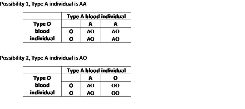 Please answer these simple biology questions-example-2