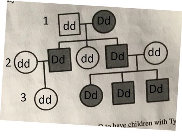 Please answer these simple biology questions-example-1