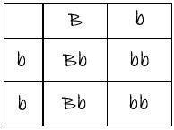 In horses, the allele for a black coat (B) is dominant over the allele for a brown-example-1