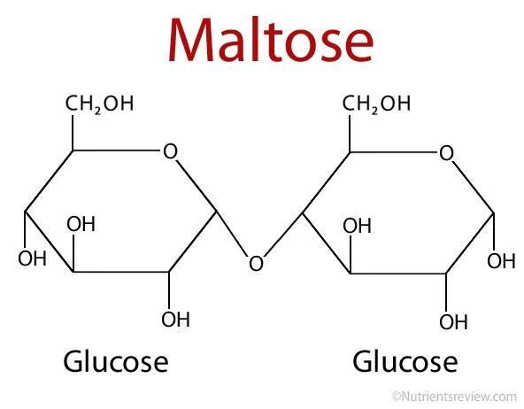 Draw Maltose, Cellobiose, Lactose and Sucrose.-example-1