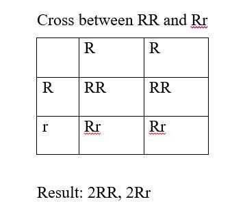 A laboratory mouse homozygous for an RFLP marker is mated to a wild mouse that is-example-1