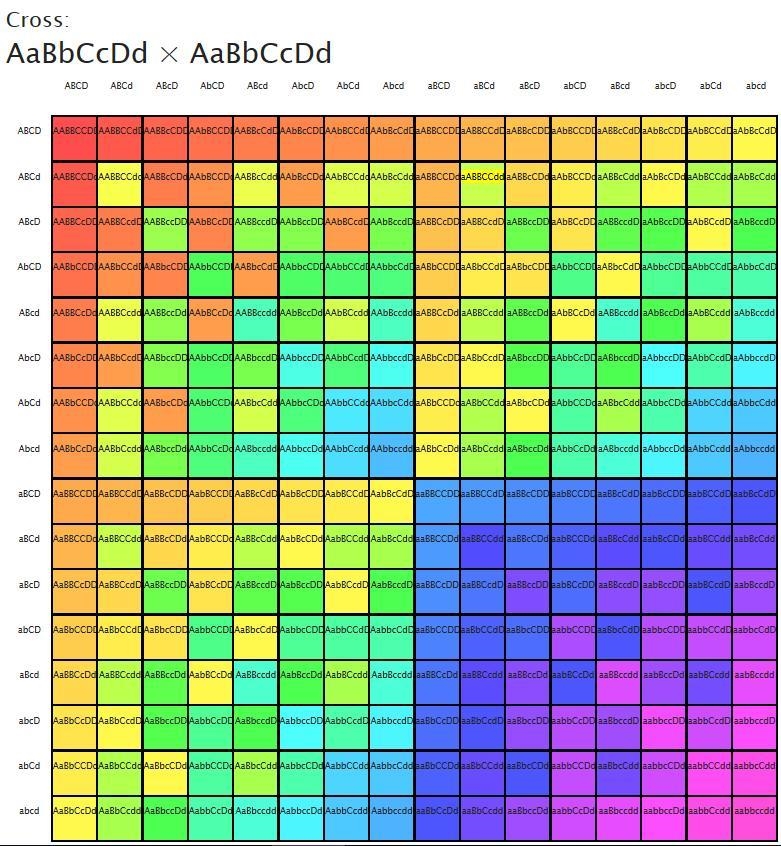 The genotype of F1 individuals in a tetrahybrid cross is AaBbCcDd. Assuming independent-example-1