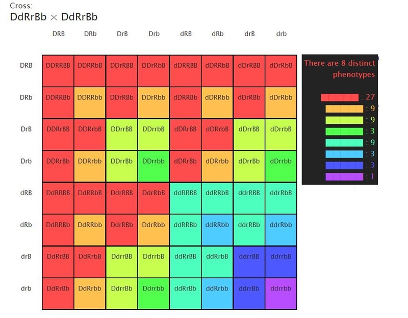 In cucumbers, dull fruit (D) is dominant over glossy (d) fruit, orange friut (R) is-example-1