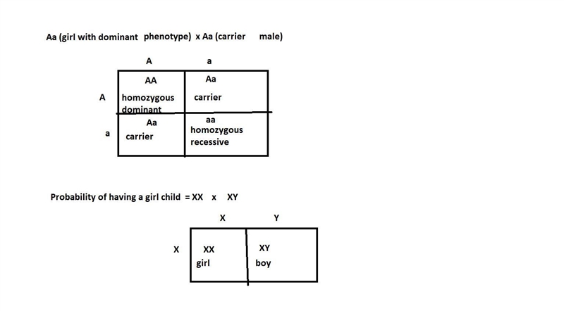 For an autosomal recessive trait, if a normal male and an affected female have a daughter-example-1