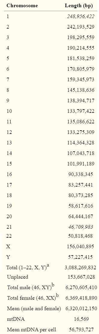 When we say the human genome has 3 billion base pairs, does that mean each cell has-example-1